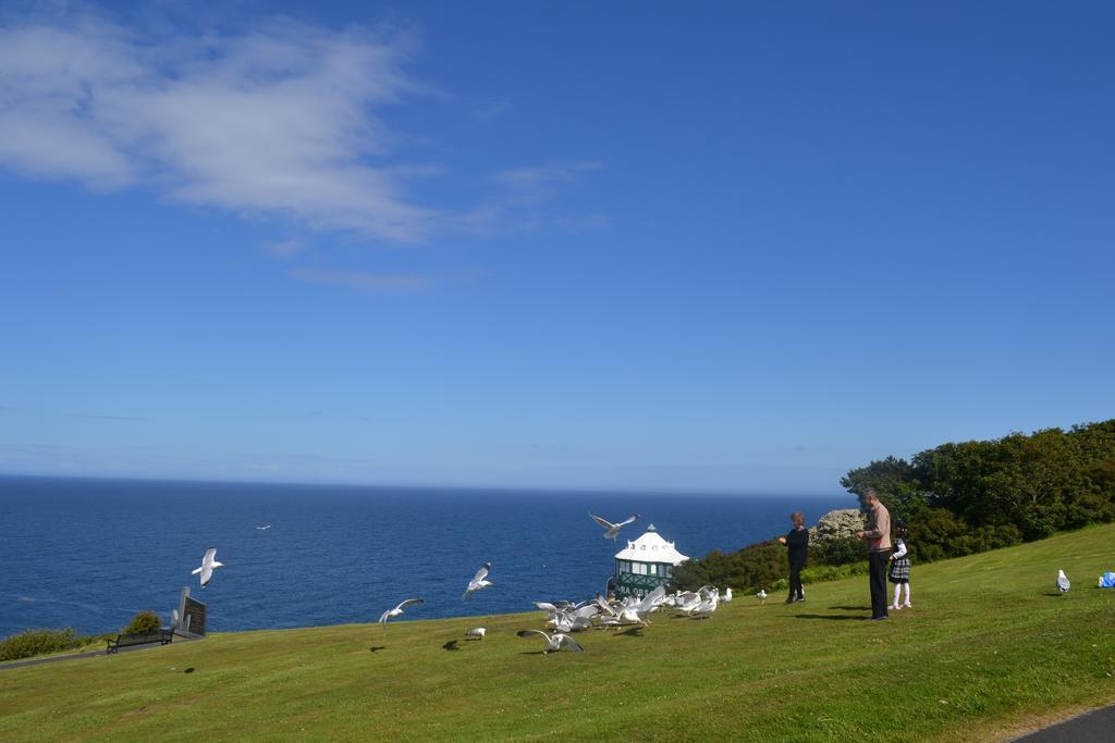 Adelphi Guest House ダグラス エクステリア 写真